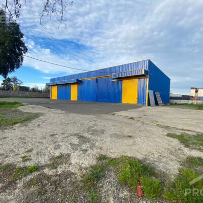 AMPLIA BODEGA EN TALCA