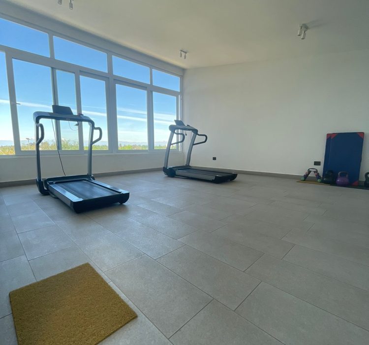 Imagen de WhatsApp 2024-10-18 a las 15.15.58_d3ba3c9f