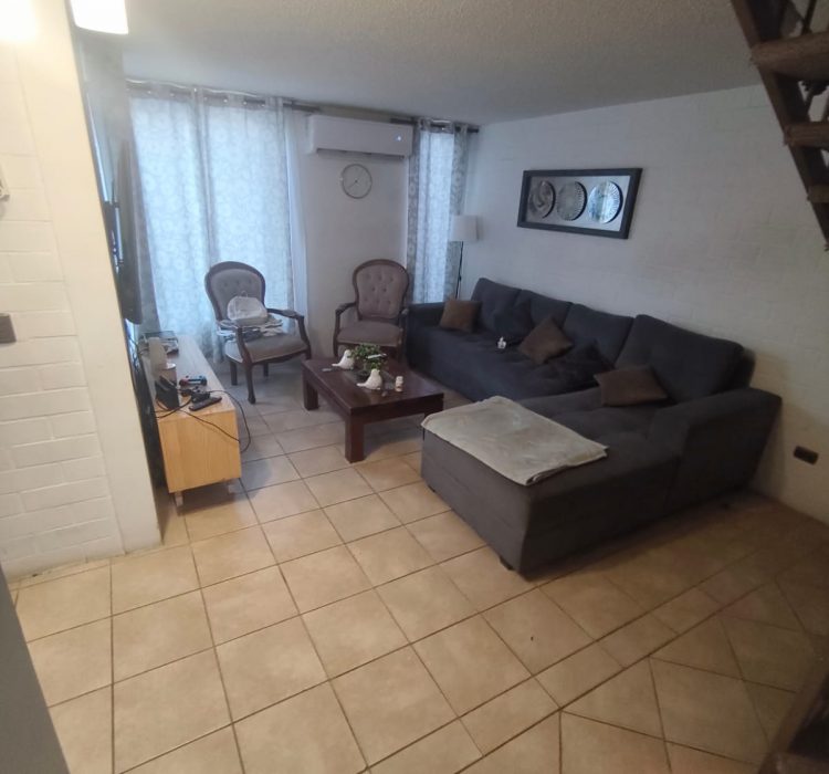 WhatsApp Image 2026-03-17 at 12.00.43 (3)